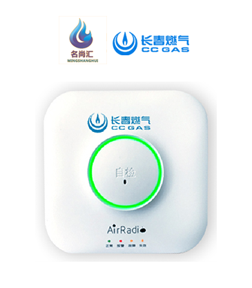 南宫NG28官网报警器（天然气）